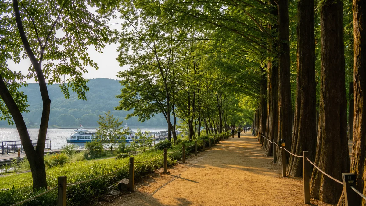 Tree-lined Nami Island walking path by the river for a day trip from Seoul